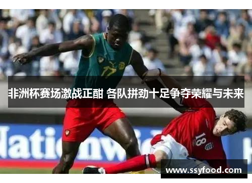 非洲杯赛场激战正酣 各队拼劲十足争夺荣耀与未来