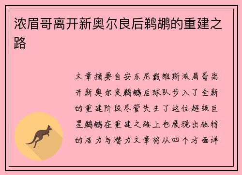 浓眉哥离开新奥尔良后鹈鹕的重建之路