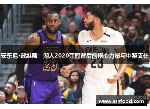 安东尼·戴维斯：湖人2020夺冠背后的核心力量与中坚支柱