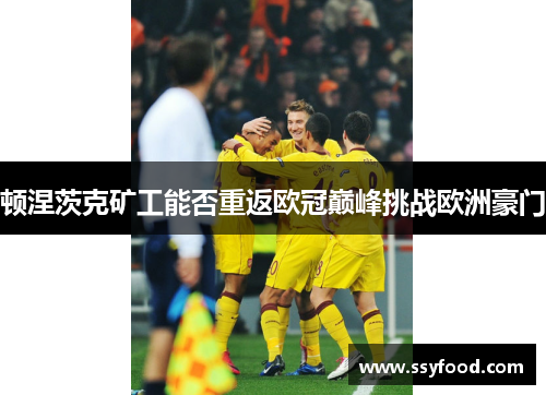 顿涅茨克矿工能否重返欧冠巅峰挑战欧洲豪门