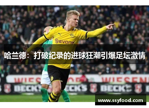 哈兰德：打破纪录的进球狂潮引爆足坛激情