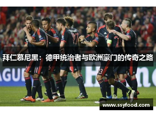 拜仁慕尼黑：德甲统治者与欧洲豪门的传奇之路